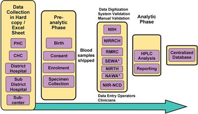 NBSP: an online centralized database management system for a newborn sickle cell program in India